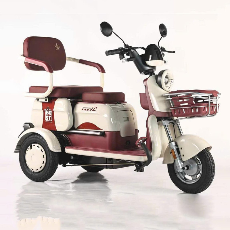 xe máy điện cho người già